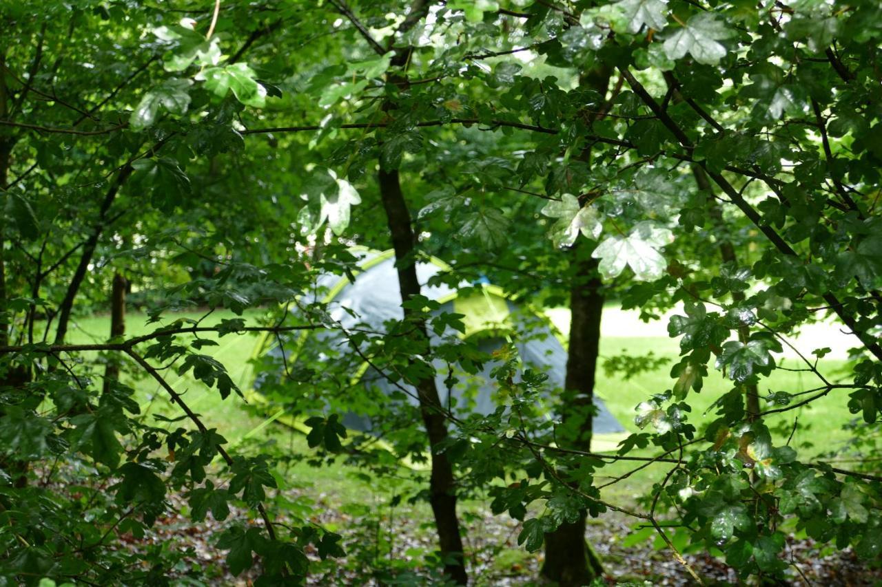 Camping Alkenhaer Appelscha Lege Kampeerplaats ภายนอก รูปภาพ